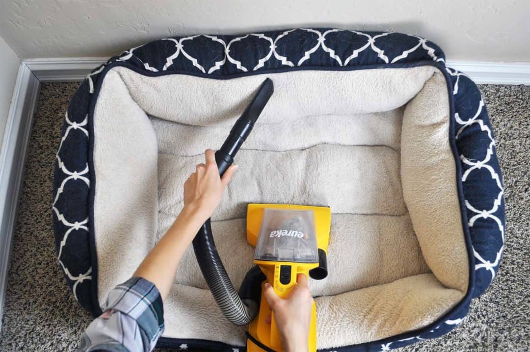 Eureka EasyClean Handheld Review — Model 71B Tested