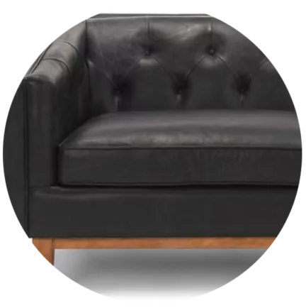 Article sofa furniture design - back