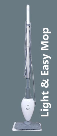 Light and Easy steam mop value