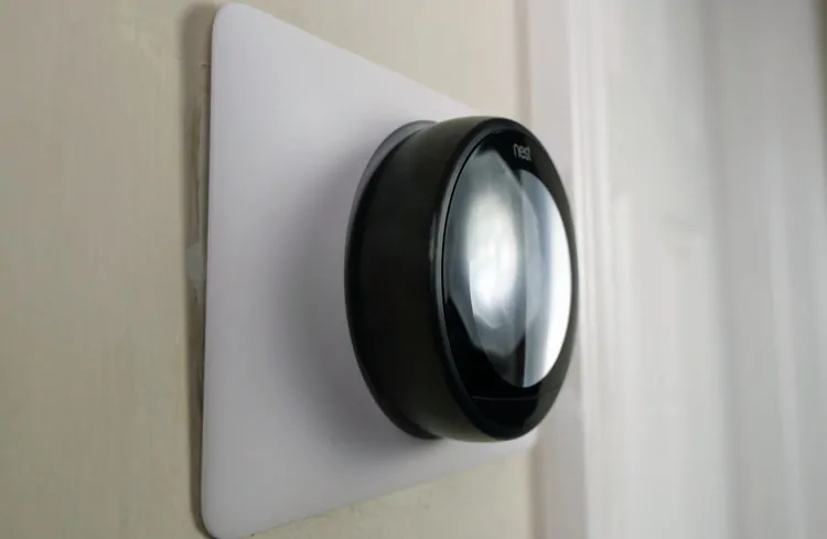 Nest depth off of the wall