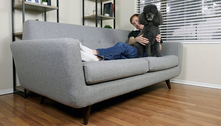 Joybird sofa with pets