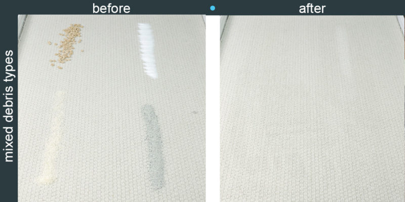 Shark IONFlex DuoClean 2x Vacuum Low Pile Carpet Cleaning Test