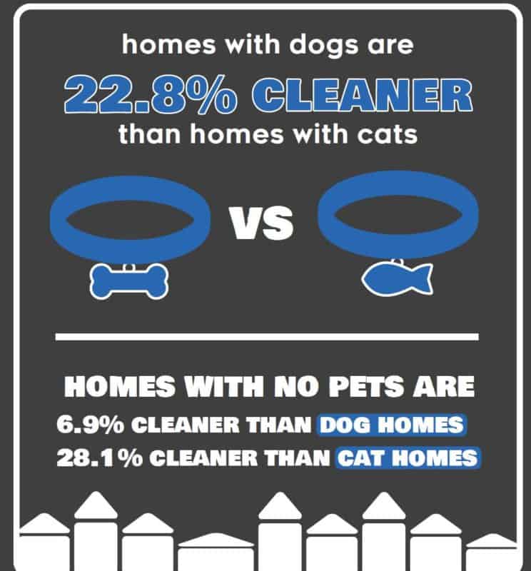 Dog vs. Cat Homes Cleaning