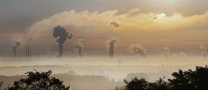 Why you need an air purifier