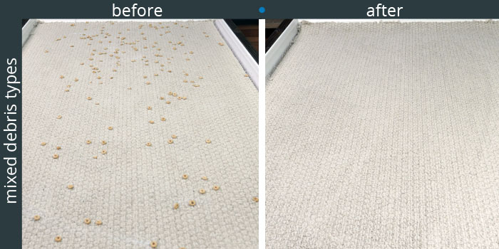 Roomba S9+ cleaning vs. low pile carpet