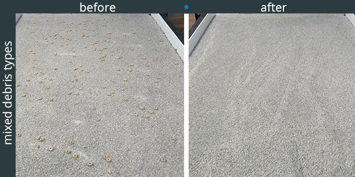 Bagotte cleaning high carpet - testing data