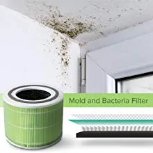 Levoit Core 300 - Mold & Bacteria filter