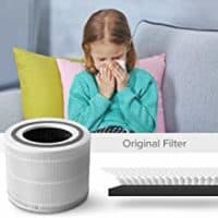 Levoit Core 300 Air Purifier Review | Modern Castle