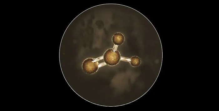 formaldehyde molecule