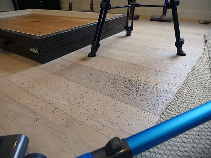 Levoit vacuum spitting kitty litter out