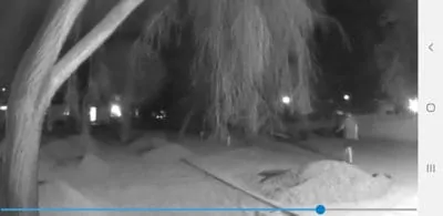 Blink XT2 nighttime video performance - outdoor