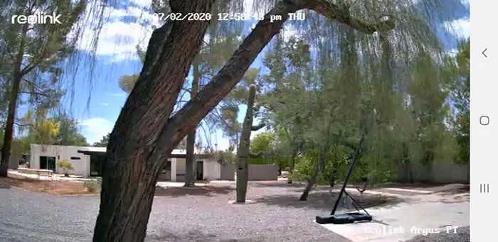 Reolink Argus camera - daytime outdoor video quality