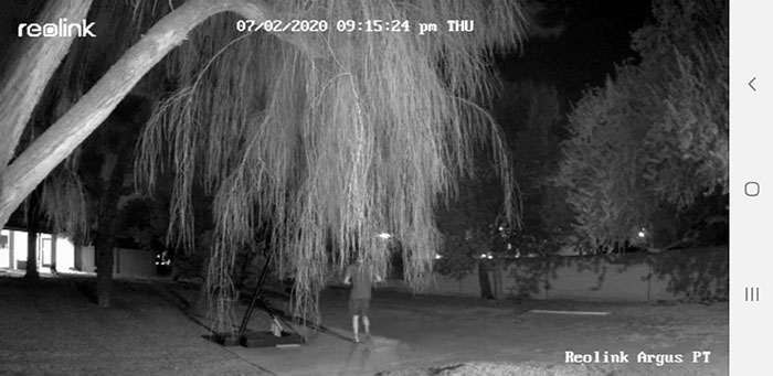 Reolink Argus camera - night time outdoor video quality 