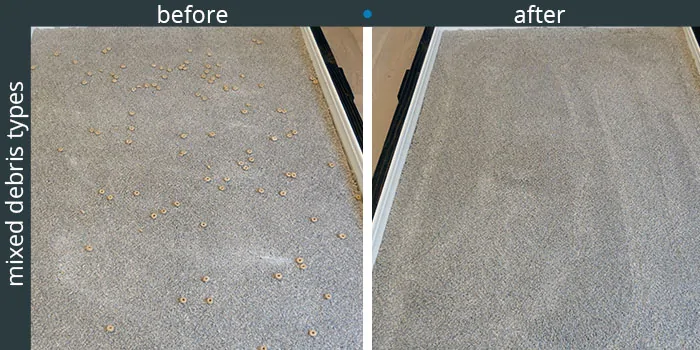 360 S9 high pile carpet cleaning tests