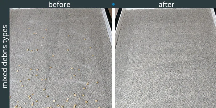 Lupe High Pile Carpet Cleaning Tests