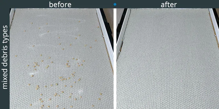 Lupe Low Pile Carpet Cleaning Tests