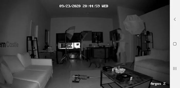 Reolink Argus 2 nighttime video quality