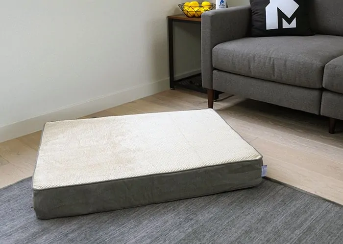 Design of the eLuxury supply pet bed