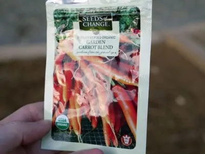 Tertill garden - planting carrots