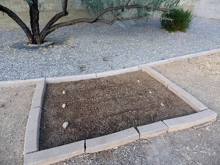 Tertill garden - at start