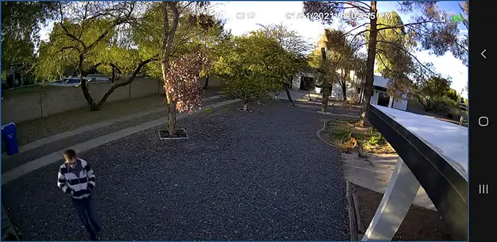 Screenshot della fotocamera Lorex