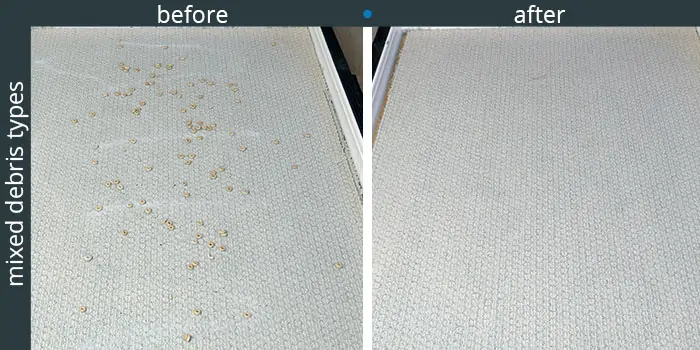 Ecovacs Deebot N8+ Pro cleaning low pile carpets