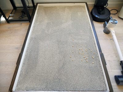 LG CordZero All in One high pile carpet after