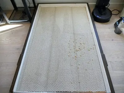 LG CordZero All in One low pile carpet before LG CordZero All in One low pile carpet after