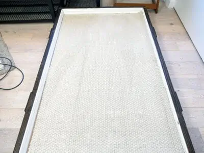 Dyson Ball Animal 3 after low pile carpet cleaning test Dyson Ball Animal 3 after low pile carpet cleaning test
