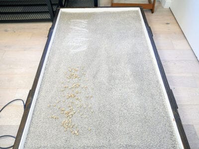 Dyson V12 Detect Slim high pile carpet - before test