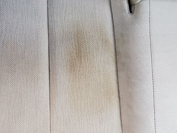 Prolux Wet Dry Garage Vacuum Review 13 Real World Tests