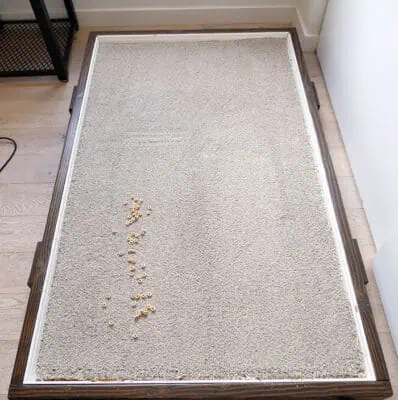 Shark Ultralight Pet Pro High Pile Cleaning Test Before Shark Ultralight Pet Pro High Pile Cleaning Test Before