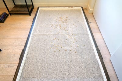 Switchbot K10+ High Pile Carpet Before Switchbot K10+ High Pile Carpet Before
